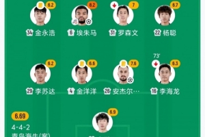 挪威vs法国-1-海牛安杰尔科维奇、金洋洋、金永浩均累计4黄，下轮战河南将停赛