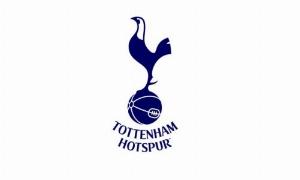 瑞典vs突尼斯-10-talksport：热刺计划在其球场安装太阳能板，可供850户家庭用电