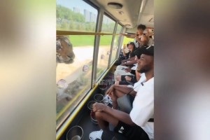 西班牙vs佛得角直播a6_西班牙vs佛得角直播在线观看_免费观看西班牙vs佛得角直播